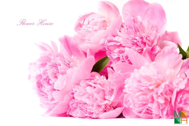 Tranh dán tường phòng ngủ đẹp tại Hà Nội FW - 019